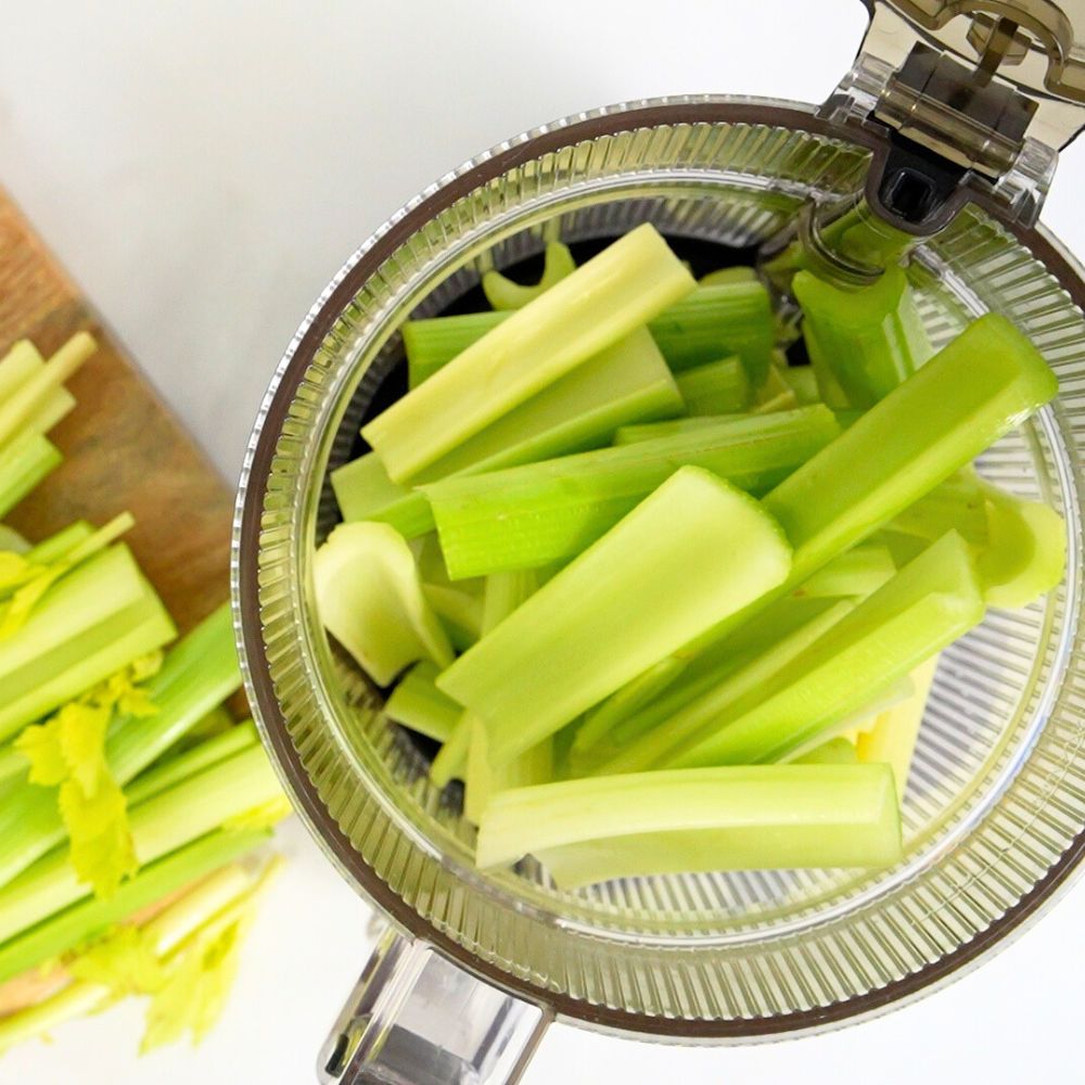 celery ribs in the kuvings auto10 plus hopper