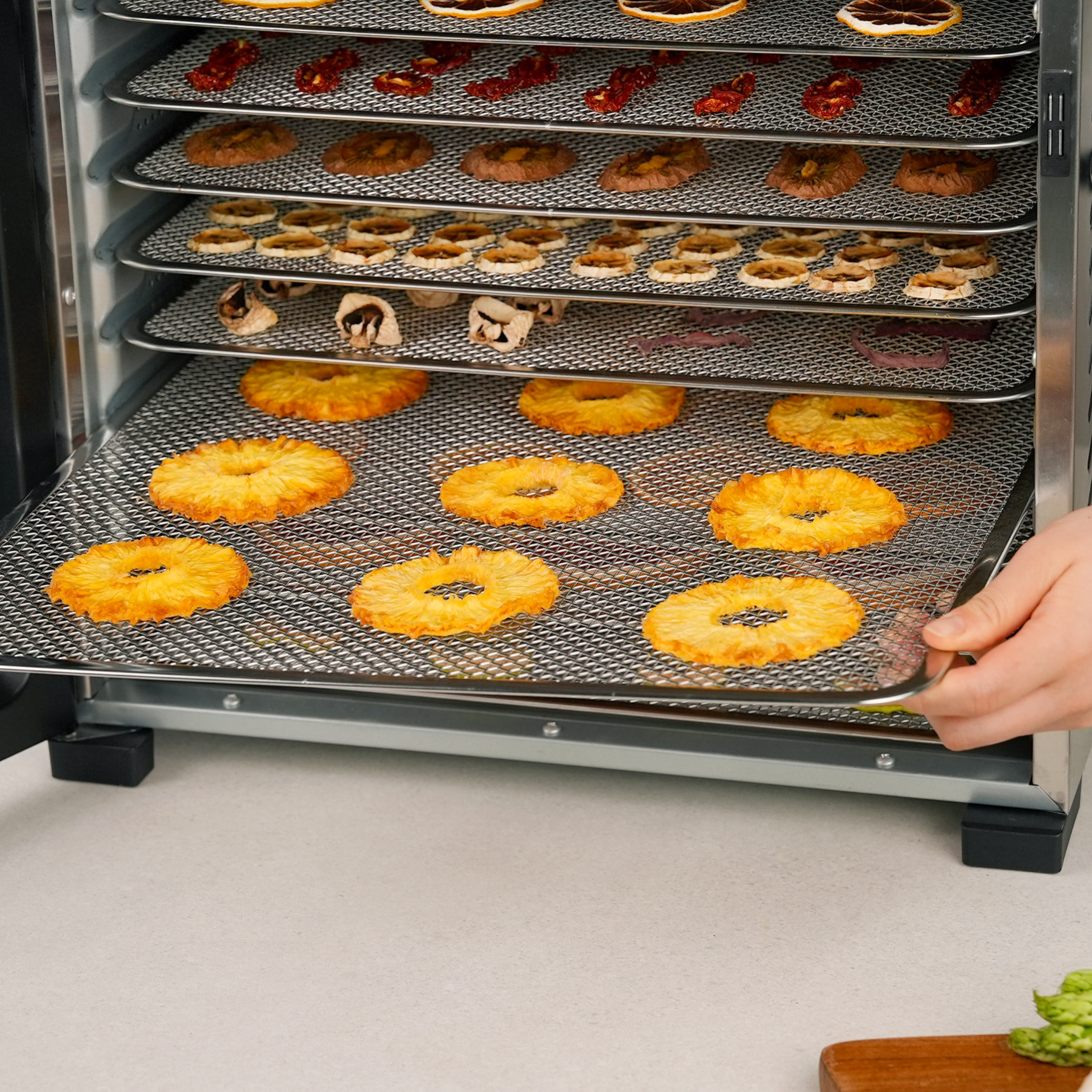 Food Dehydrator KD550