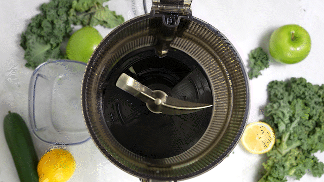kuvings hands free slow juicer auto10 plus with WHOLE INGREDIENTS