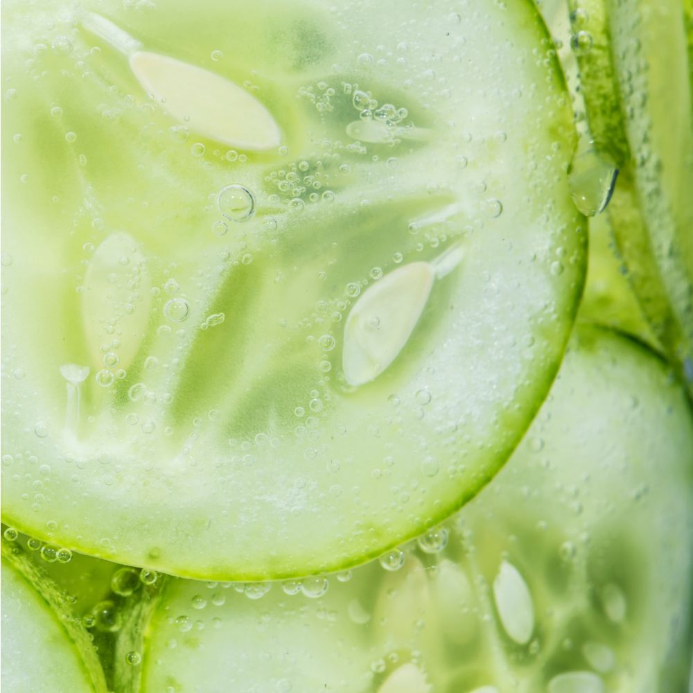 A Guide to Hydrating Summer Juices