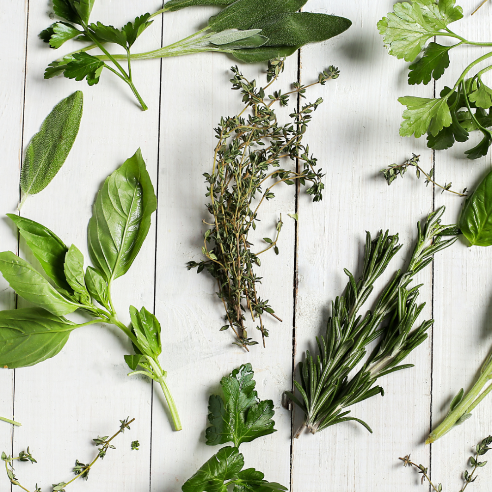 a white wall decorated with verious green herbs