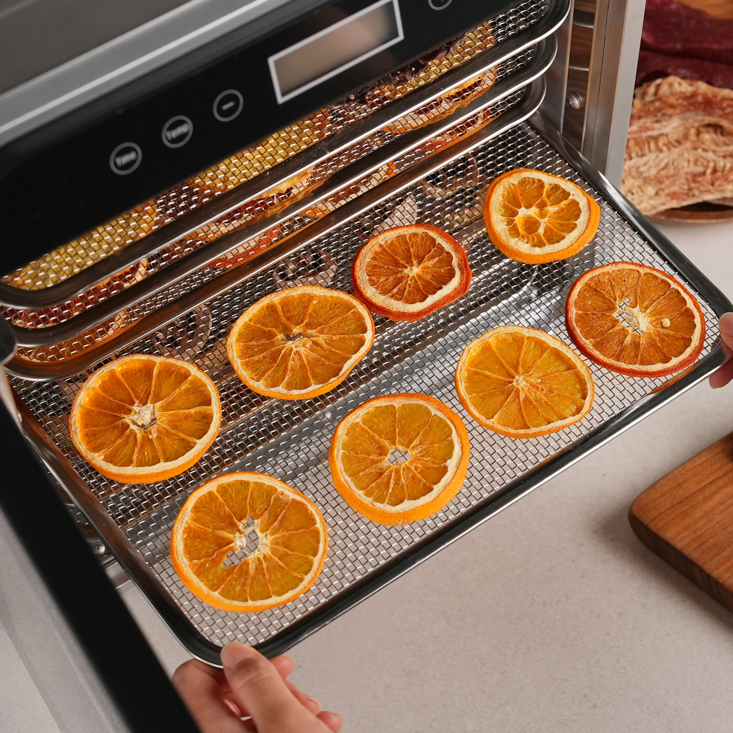 Food Dehydrator KD300