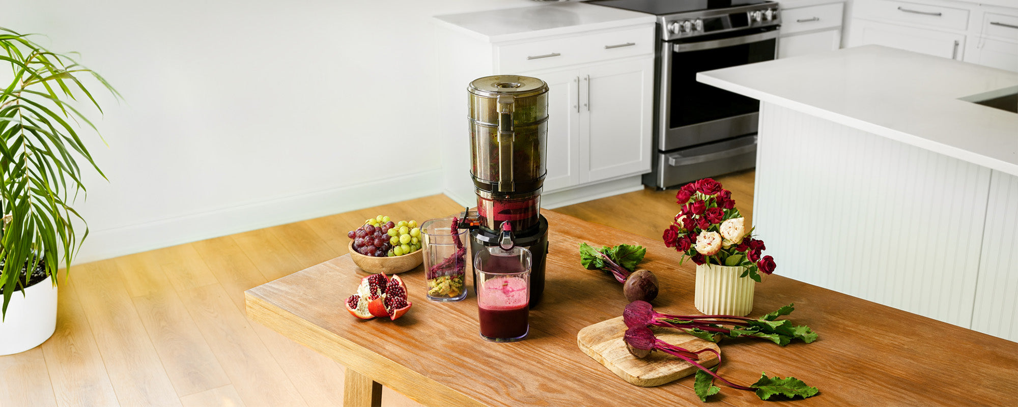 Kuvings USA Official Store | Juicers and Blenders – Kuvings USA