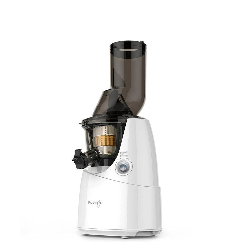 Whole Slow Juicer B6000