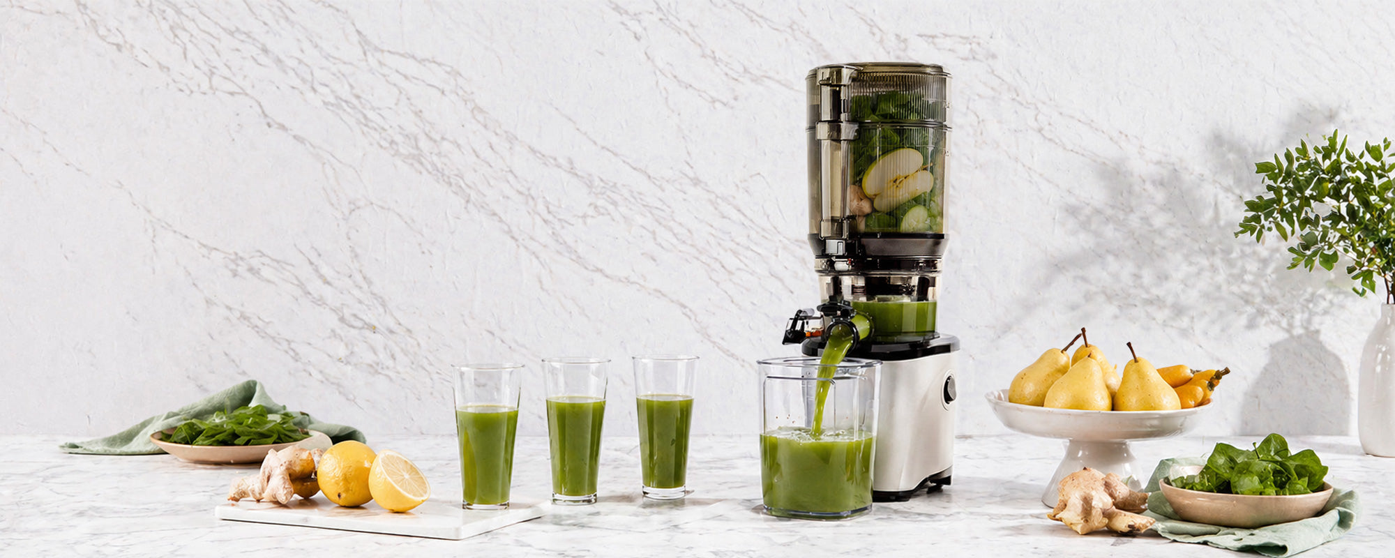 Kuvings USA Official Store | Juicers and Blenders – Kuvings USA