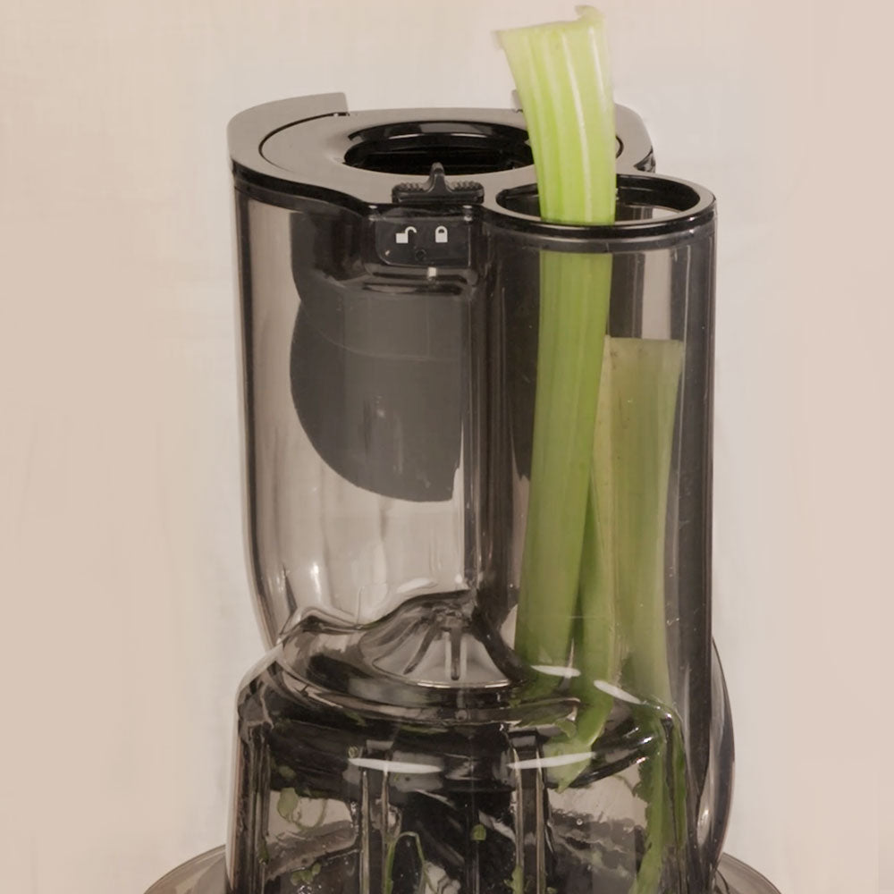 Kuvings REVO830 Whole Slow Juicer